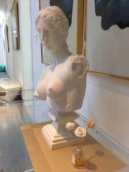 -宝迪之星医疗美容诊所