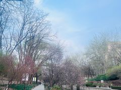 -海棠花溪(元大都城垣遗址公园)