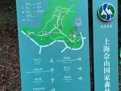 -上海佘山国家森林公园天马山园
