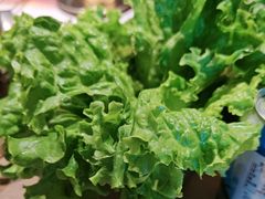 -西塔老太太泥炉烤肉(沈阳店)