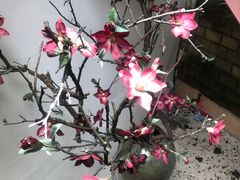 -宋宴(虎跑店)