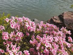-孙武文化园-停车场