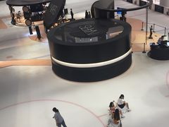 -TheRink大零溜冰场(IFS国金中心店)