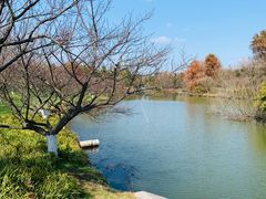 -上海海湾国家森林公园