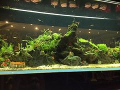 -泰谷酒店·太古码头闽菜自助餐厅