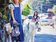 -灌篮高手动画打卡地
