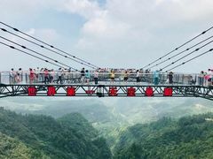 -梦幻奥陶纪景区