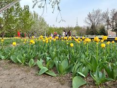 -长春公园(普阳街道)