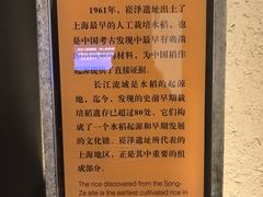 -上海崧泽遗址博物馆