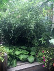 -爱儿美儿童摄影(朝阳公园店)