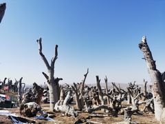 -丝绸之路山地度假区滑雪场