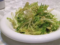凉拌苦菊-京味民福烤鸭店(建设四马路店)