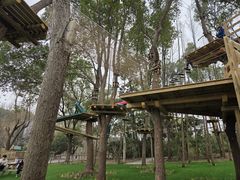 -昆山城市生态森林公园