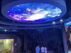 -东莞市科学技术博物馆