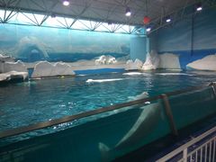 -秦皇岛乐岛海洋王国