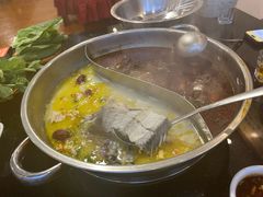 -草墩罗非鱼庄•野生菌•腊排骨(七星街上段店)