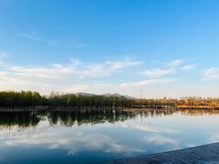 -野鸭湖国家湿地公园