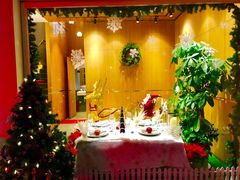 -蝶舍·MAISON PAPILLON