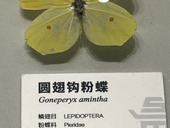 -四川大学博物馆