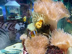 -太平洋海底世界