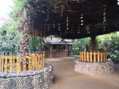 -呀路古热带植物园