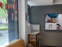 -御宝贝·A梦猫科宠物医院(国际猫友好医院)