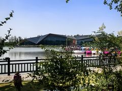 -上海长兴岛郊野公园