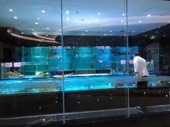 -春满园·早茶·粤菜·宴会(喜宴店)
