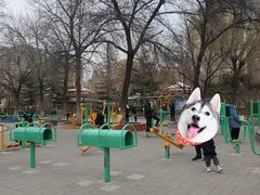 -丰台花园