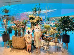 -花开餐厅(环湖中路店)