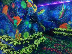 -梵高星空艺术馆(北京旗舰店)