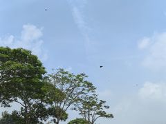 -二沙岛艺术公园