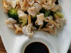 -鲁前海沿儿