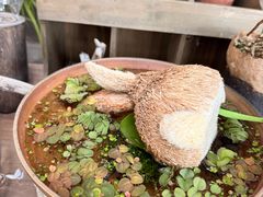 -北马山庄植趣咖啡