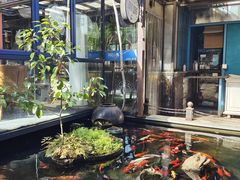 -野蔓果·山野菜(西湖景区·龙井茶田店)