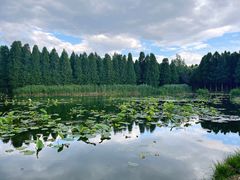 -捞渔河湿地公园