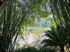 -龙头寺公园