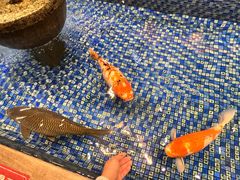 -盆满钵满·国家非遗传承(云台店)