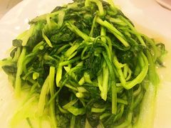 -香港美食大酒楼