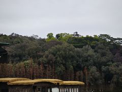 -三水森林公园