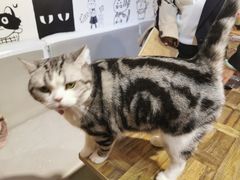 -小时光咖啡馆(开森度假森林店)