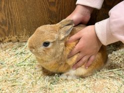 -Zoolung Zoolung动物主题公园(海信广场店)