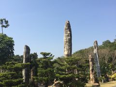 -深圳仙湖植物园