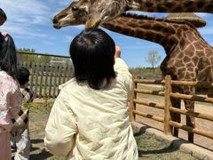 -鄂尔多斯野生动物园