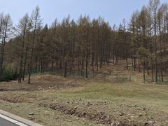 -塞罕坝国家级自然保护区