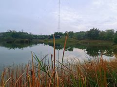 -福田红树林生态公园