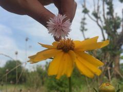 景点-盘龙城国家考古遗址公园