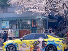 -南浦大桥长途旅游客运站