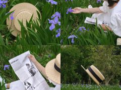 -白鹭湾湿地公园