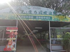 -天下先生态园农庄CS团建露营地(海鸥岛店)